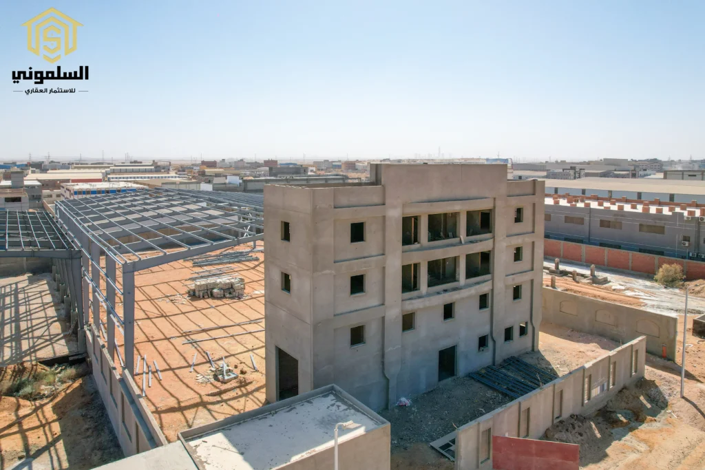 الاستثمار في مصر